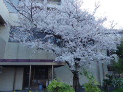 IMGP0269
