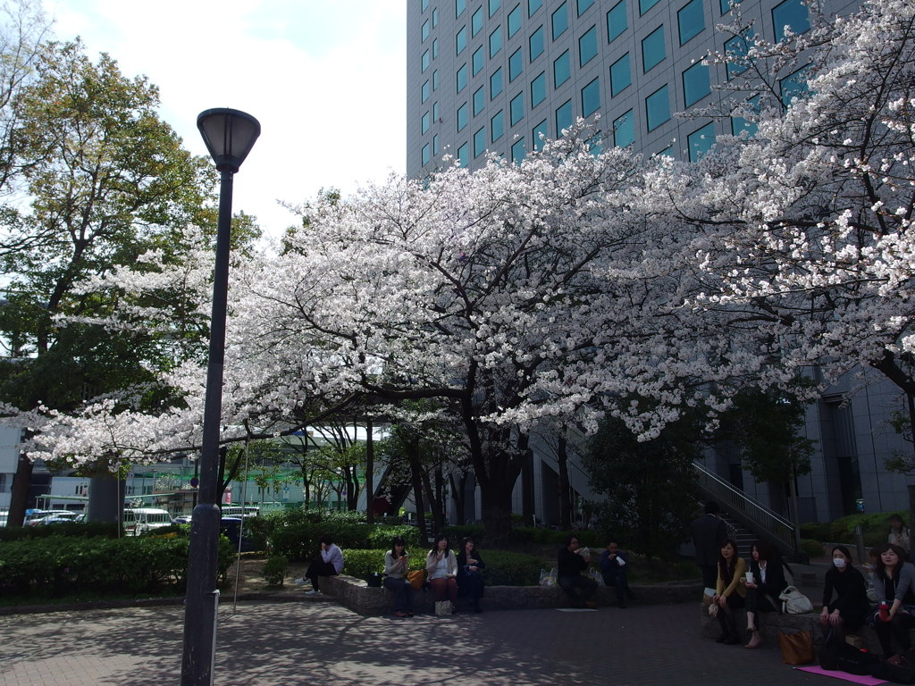 IMGP0170