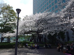 IMGP0170