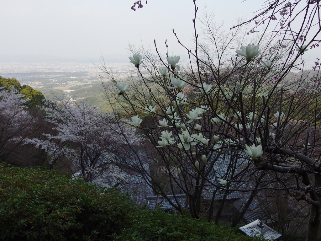 善峰寺