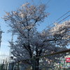 IMGP0278