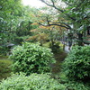DSC06387