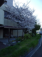 IMGP0268