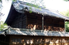 DSC03739