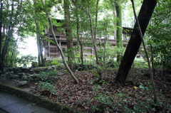 DSC06407