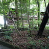 DSC06407