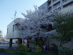 IMGP0272