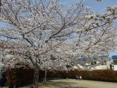 IMGP0163