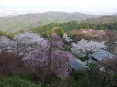 善峰寺