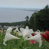 オーンズ春香山ゆり園