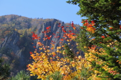 豊平峡の秋