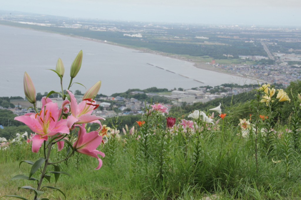 オーンズ春香山ゆり園