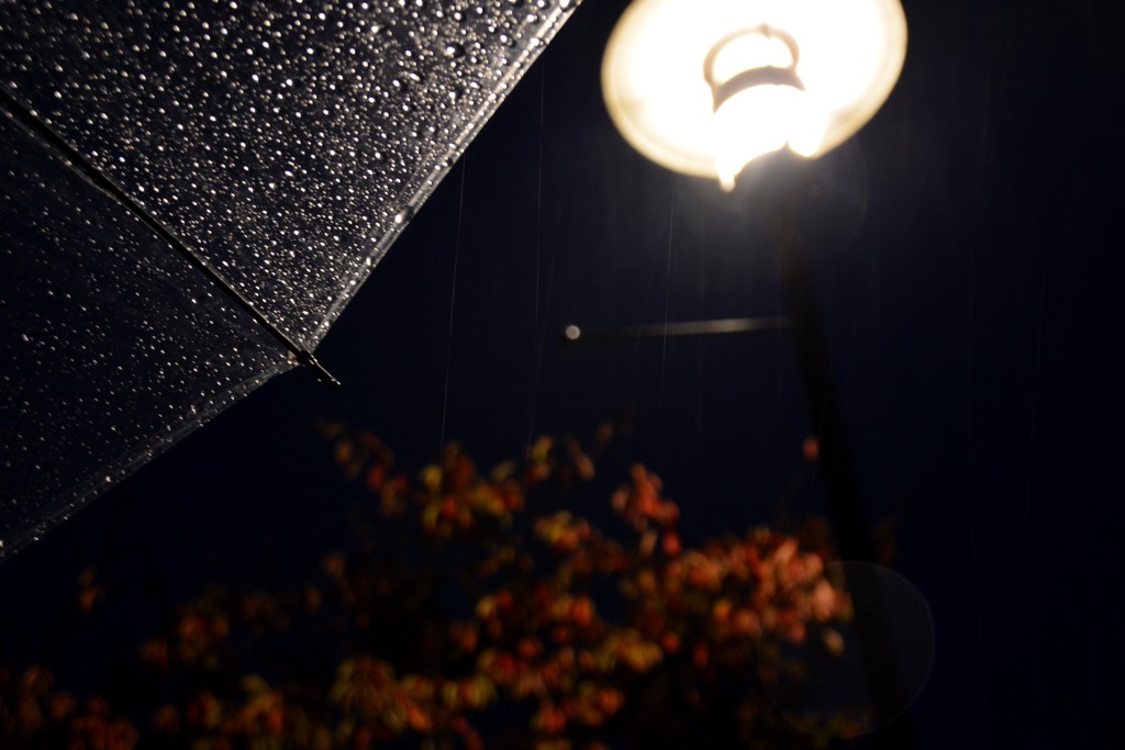 秋雨