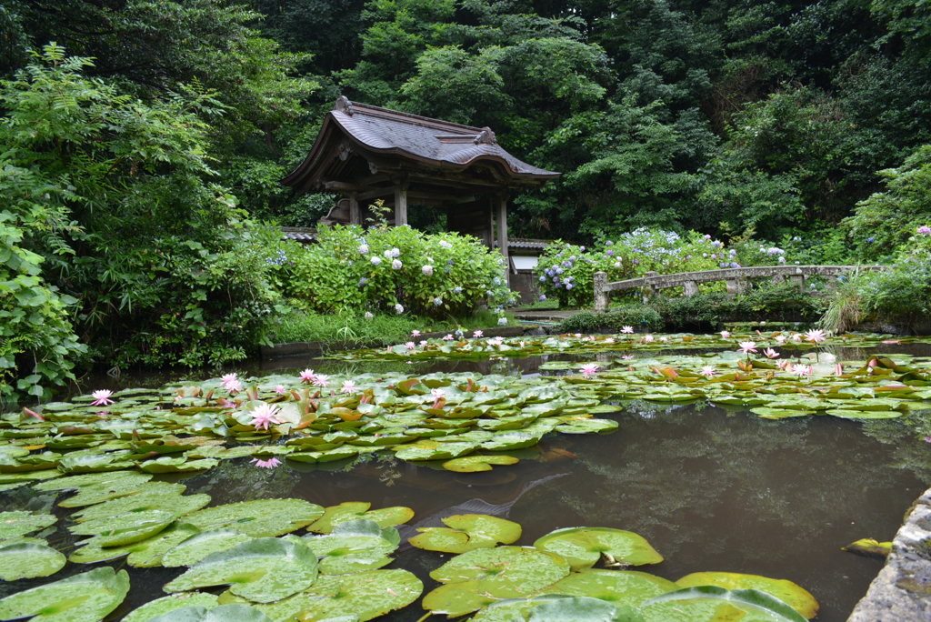 月照寺