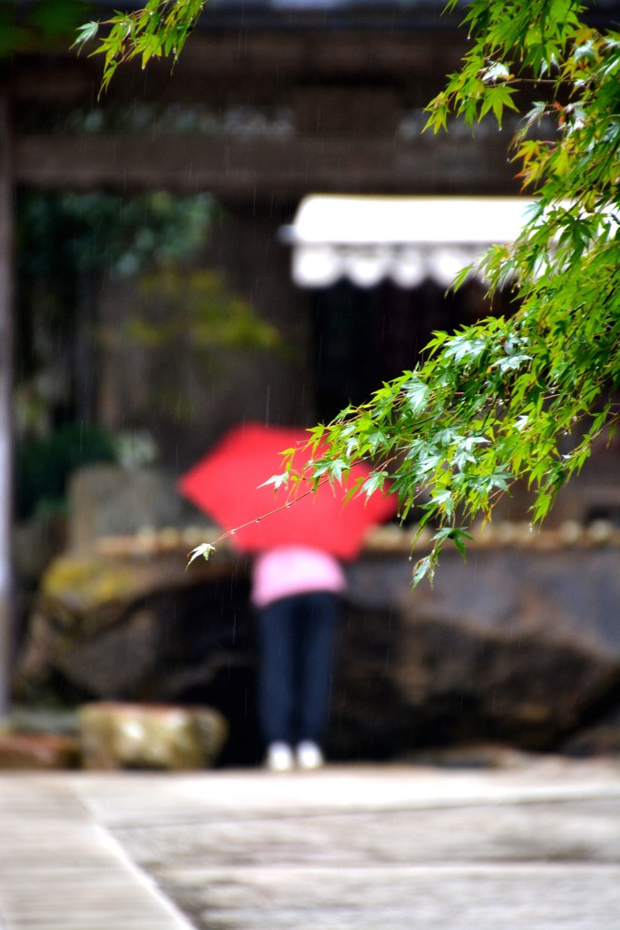 雨降りの日の参拝者