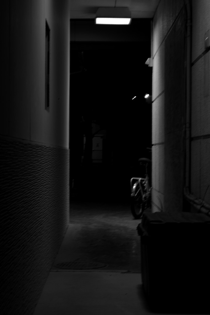 裏路地