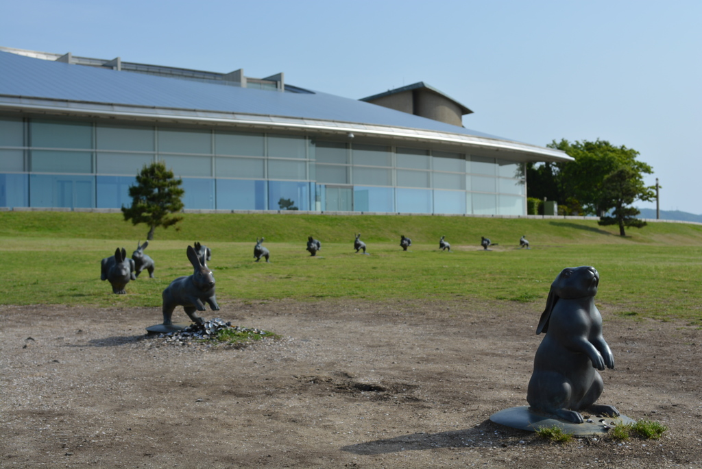 おっ！ウサギの群れ発見！