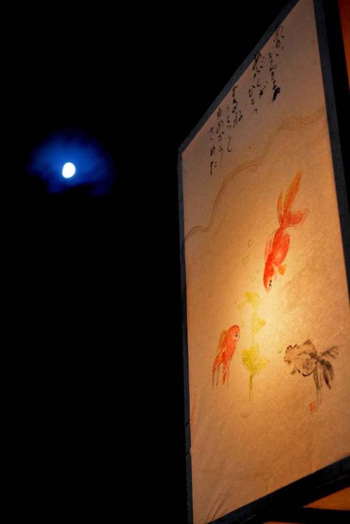 月夜に泳ぐ金魚