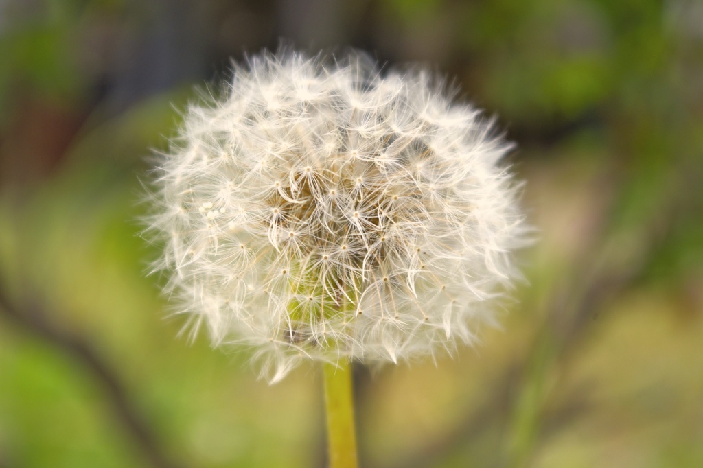 もうすぐ旅にでます！