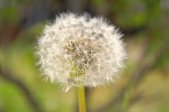 もうすぐ旅にでます！