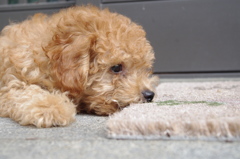 ちょっと一休み！