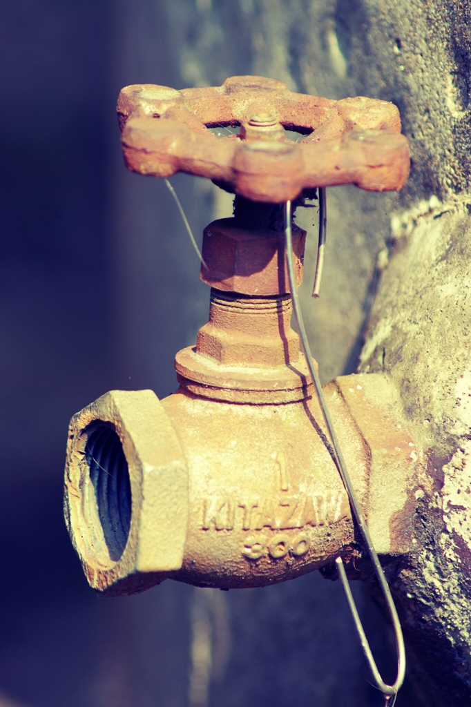 歴史を感じさせます。