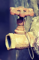 歴史を感じさせます。