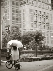 雨のまちかど