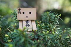 ココハ ドコ？