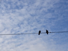 ふたりきりの空。