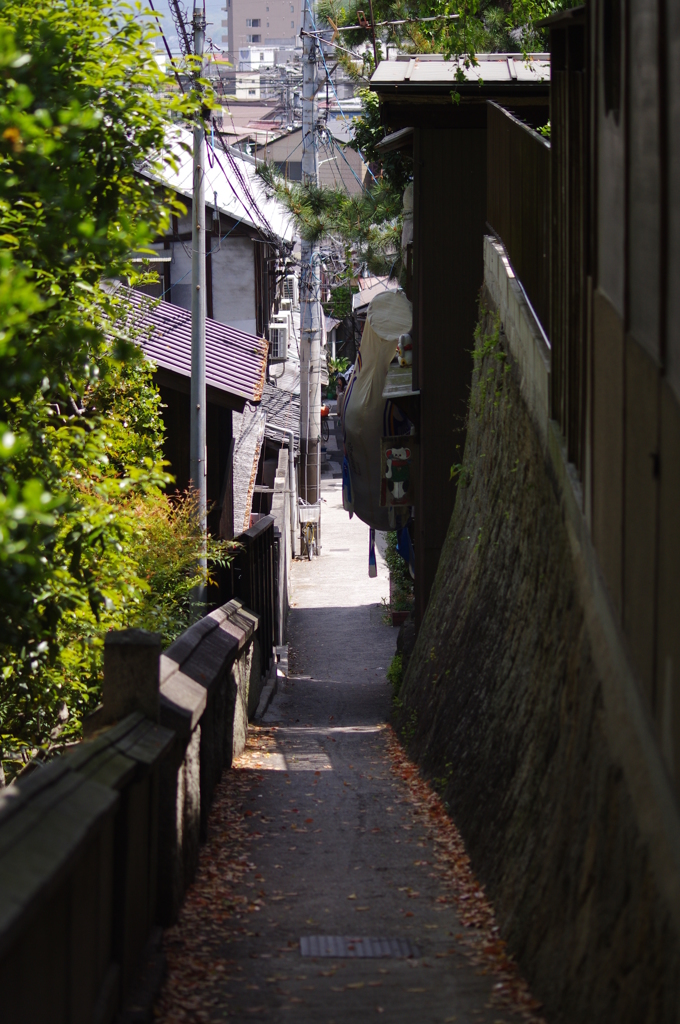 尾道路地