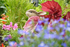 草の陰からこんにちは