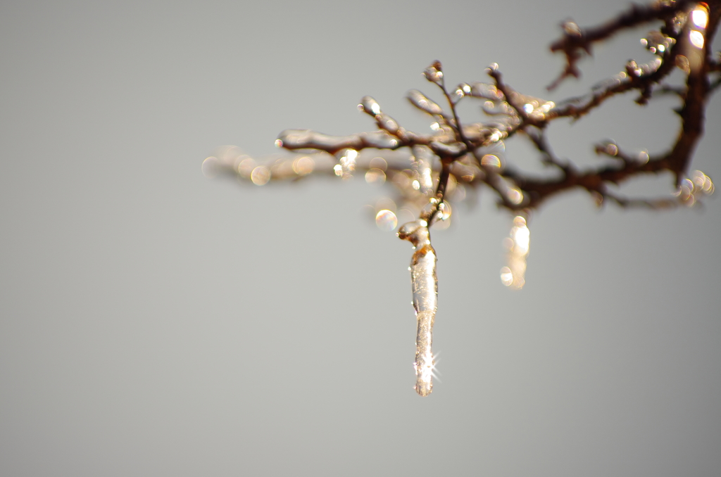 ”drops of champagne”