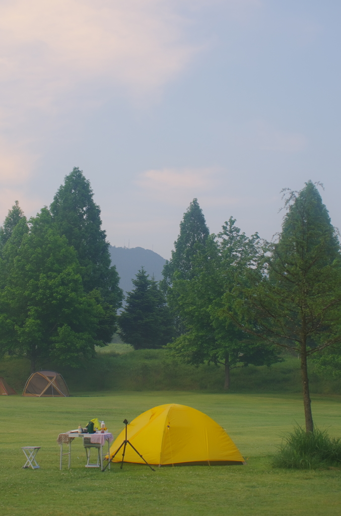 翌朝の光景