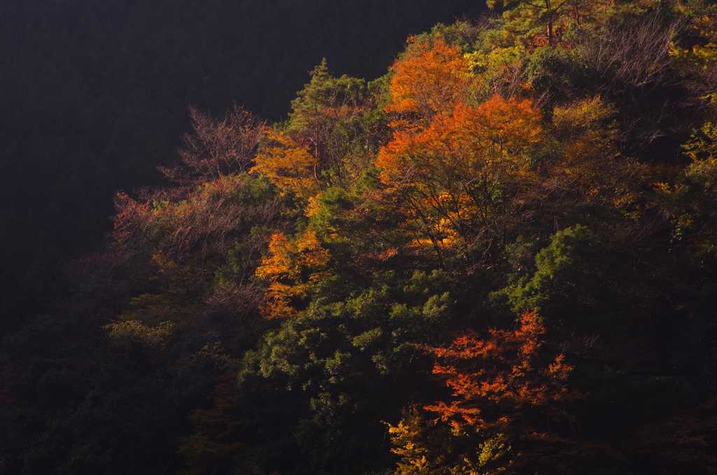 川辺川