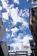 雨の次