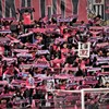 We Are CEREZO！