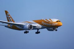 Flyscoot