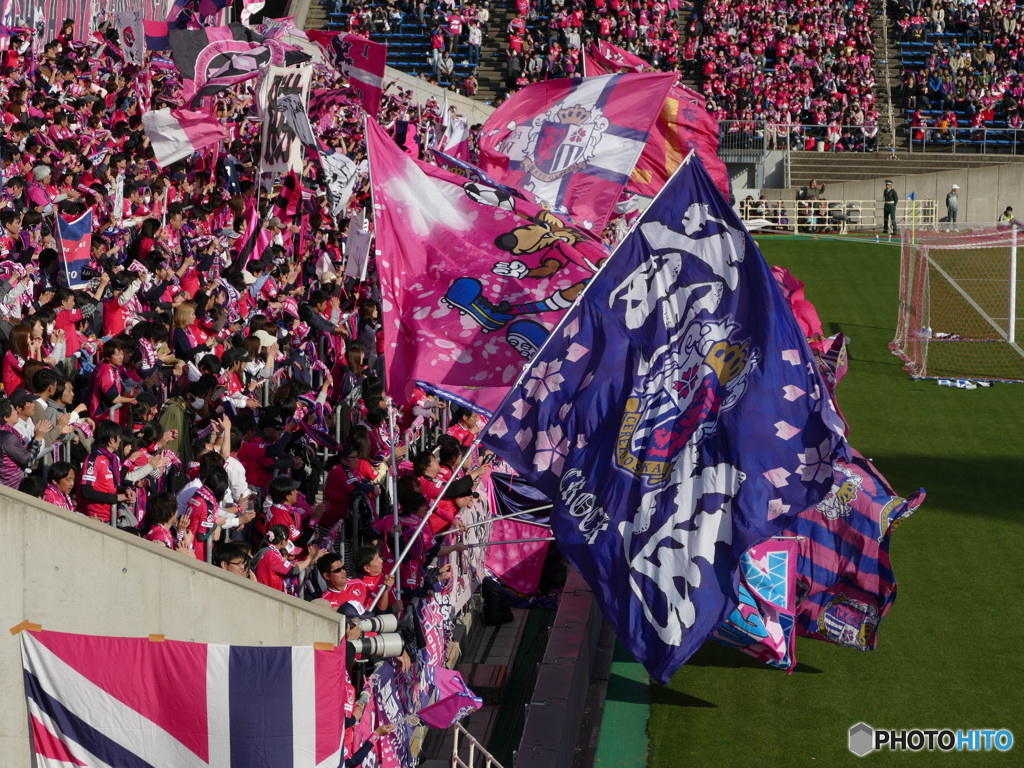 勝利を目指して突き進め