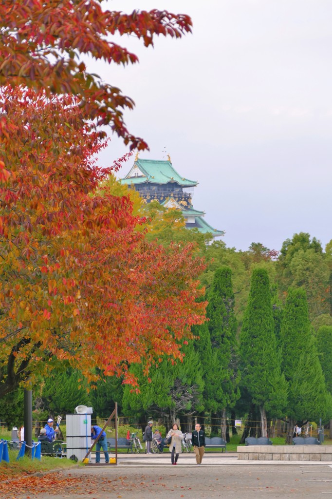 大阪城公園の紅葉