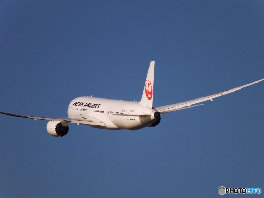 日本航空 B787 JA825J