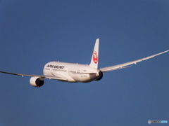 日本航空 B787 JA825J