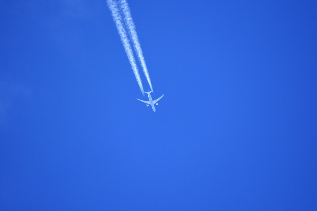 飛行機雲伸びて青に消えた
