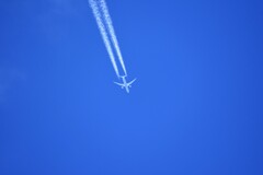 飛行機雲伸びて青に消えた