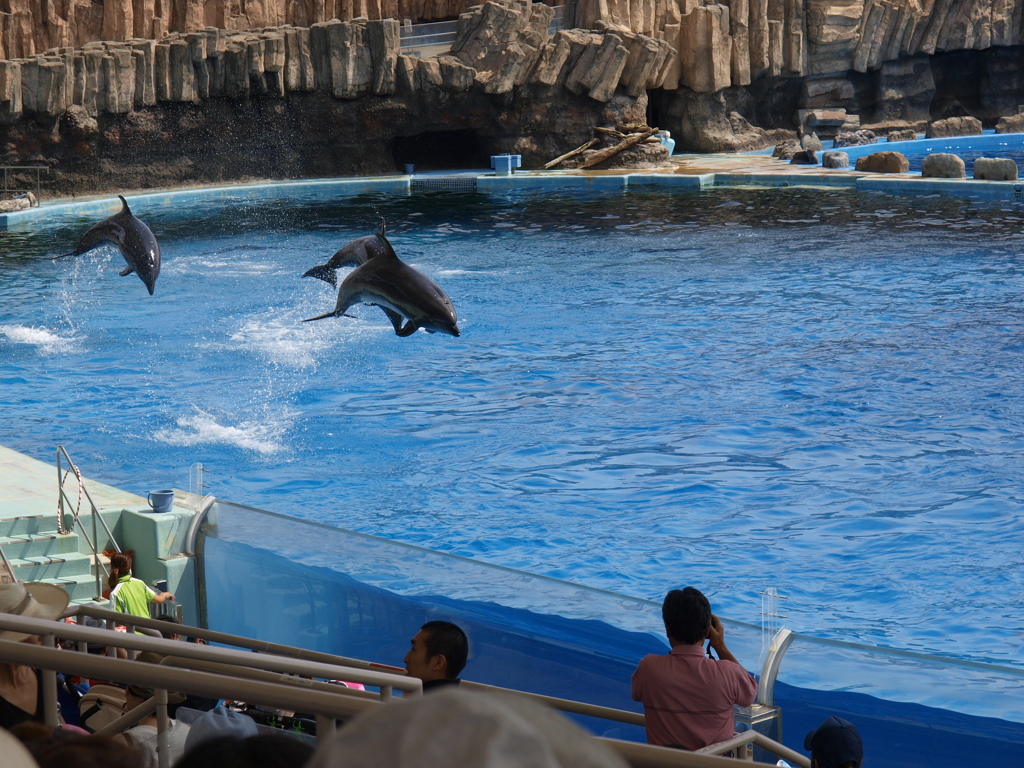 水族館２