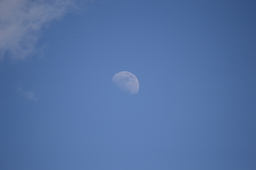 DSC_1090
