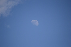 DSC_1090