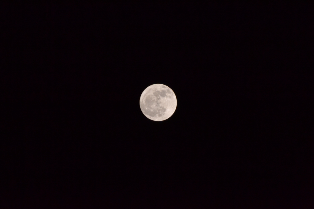 DSC_1288