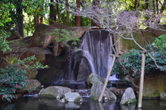 DSC_0693