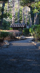 夕方帰り道